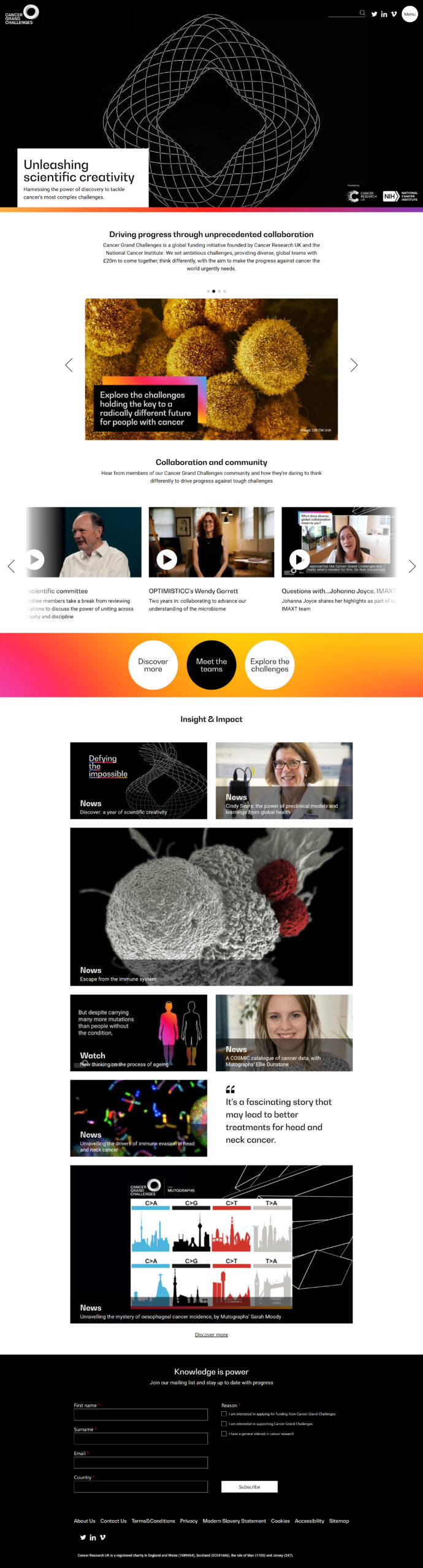 Cancer Research: project image 3
